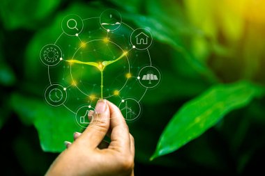 Çiftçinin elleri toprağa fideleri ekiyor.