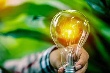 Doğadaki enerji kavramında büyüyen ampuller..