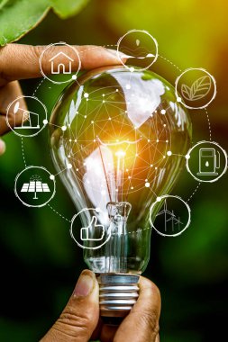 Doğadaki enerji kavramında büyüyen ampuller..