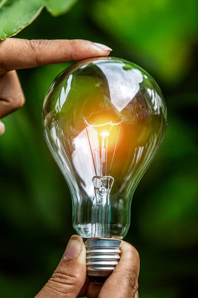 Doğadaki enerji kavramında büyüyen ampuller..