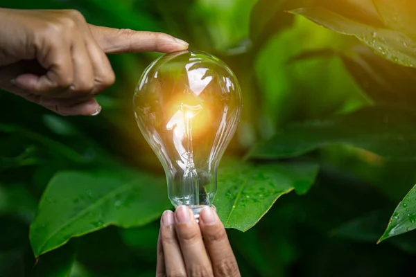 hand holding light bulb against nature, icons energy sources for renewable,