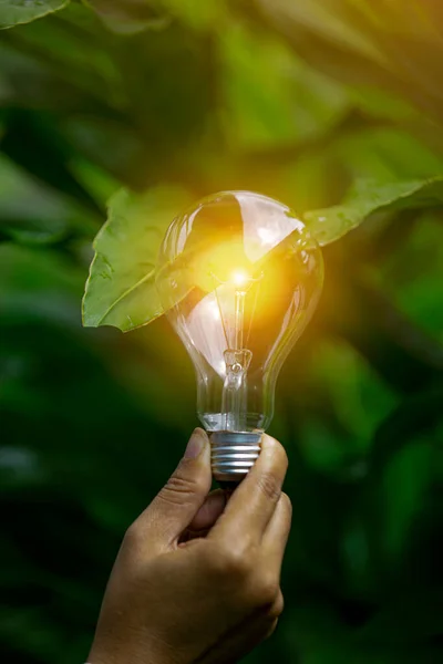 Mão Segurando Lâmpada Contra Natureza Ícones Fontes Energia Para Renováveis — Fotografia de Stock