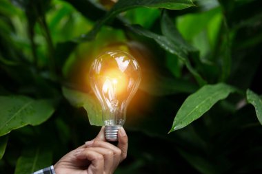 Doğaya karşı el ele tutuşan ampul, yenilenebilir enerji kaynakları için simgeler,