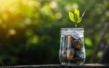 Cam kavanozdaki bozuk paralar ahşap tabaklara dizilmiş.,