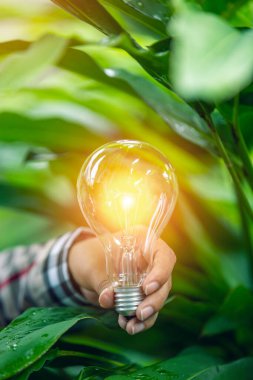 Doğaya karşı el ele tutuşan ampul, yenilenebilir enerji kaynakları için simgeler,