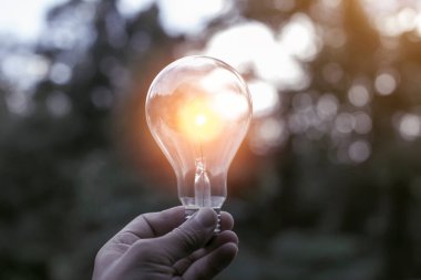 Doğadaki enerji kavramında büyüyen ampuller..