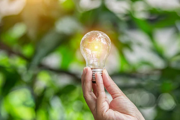 Hand Hålla Glödlampa Mot Naturen Ikoner Energikällor För Förnybara — Stockfoto