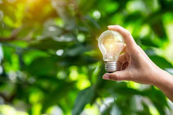 Mano Celebración Bombilla Contra Naturaleza Iconos Fuentes Energía Para Renovables — Foto de Stock