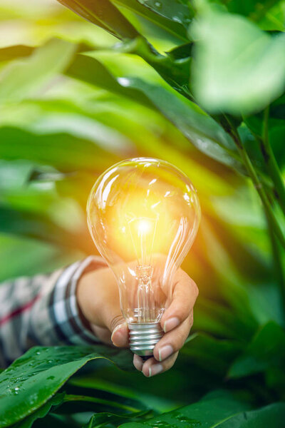 hand holding light bulb against nature, icons energy sources for renewable,