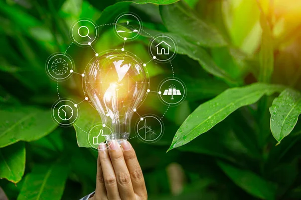 hand holding light bulb against nature, icons energy sources for renewable,