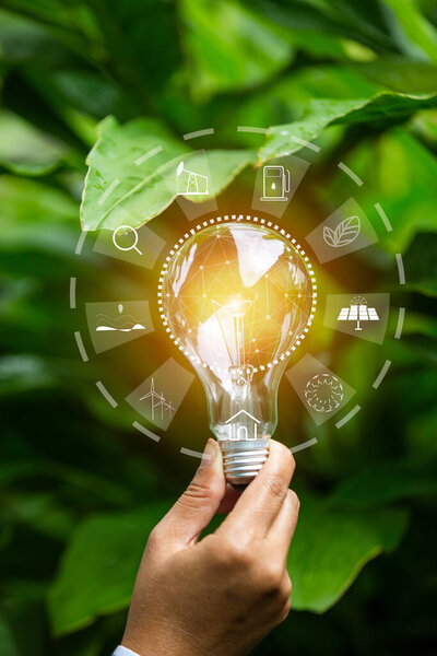 Лампочки, которые растут, в концепции энергии в природе.