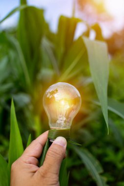 Doğaya karşı el ele tutuşan ampul, yenilenebilir enerji kaynakları için simgeler,