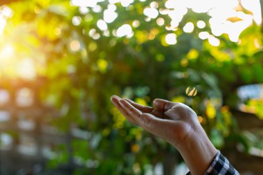 Çevre simgeleriyle el ele tutuşan teknoloji, yeşil arkaplanda Ağ bağlantısı üzerinden.