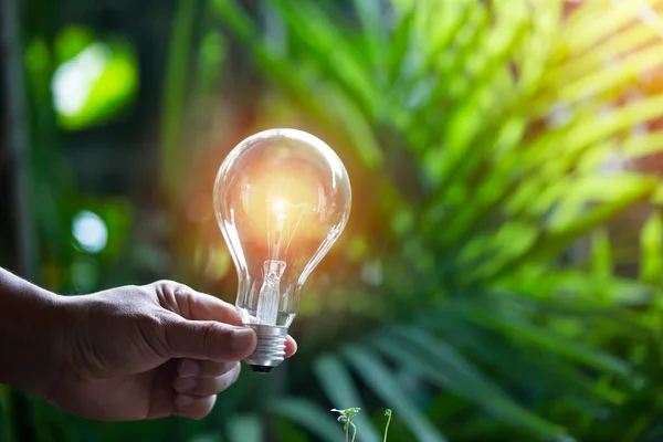 Main Tenant Ampoule Contre Nature Icônes Sources Énergie Pour Renouvelable — Photo