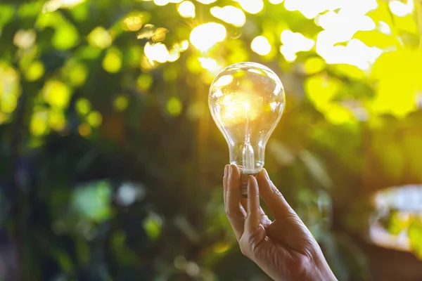 hand holding light bulb against nature, icons energy sources for renewable,