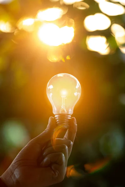 hand holding light bulb against nature, icons energy sources for renewable,