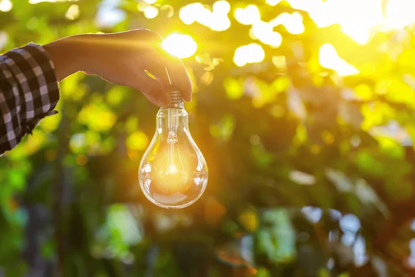 Hand Hålla Glödlampa Mot Naturen Ikoner Energikällor För Förnybara — Stockfoto