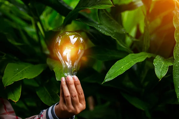 hand holding light bulb against nature, icons energy sources for renewable,