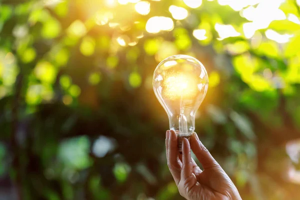 Hand Hålla Glödlampa Mot Naturen Ikoner Energikällor För Förnybara — Stockfoto