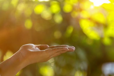 Çevre simgeleriyle el ele tutuşan teknoloji, yeşil arkaplanda Ağ bağlantısı üzerinden.