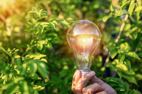hand holding light bulb against nature, icons energy sources for renewable