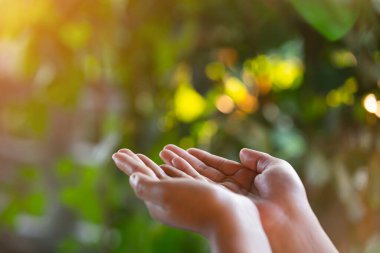 Çevre simgeleriyle el ele tutuşan teknoloji, yeşil arkaplanda Ağ bağlantısı üzerinden.