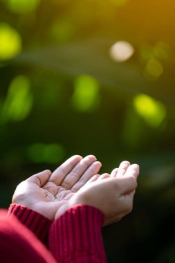 Çevre simgeleriyle el ele tutuşan teknoloji, yeşil arkaplanda Ağ bağlantısı üzerinden.