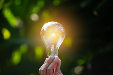 Doğaya karşı el ele tutuşan ampul, yenilenebilir enerji kaynakları için simgeler,