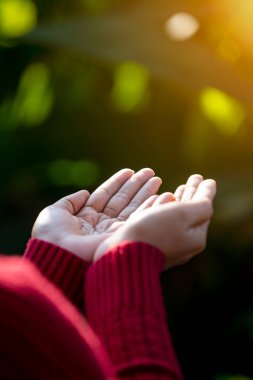 Çevre simgeleriyle el ele tutuşan teknoloji, yeşil arkaplanda Ağ bağlantısı üzerinden.