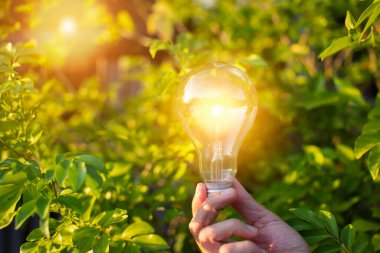 Doğadaki enerji kavramında büyüyen ampuller..