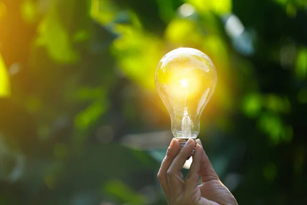 Hand Hålla Glödlampa Mot Naturen Ikoner Energikällor För Förnybara — Stockfoto