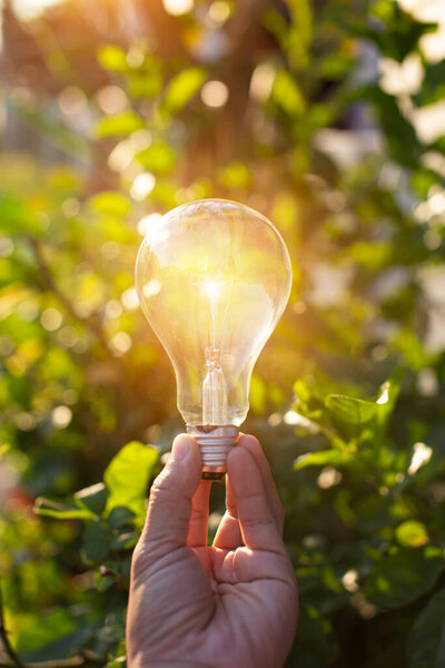 Light bulbs that grow, in the concept of energy in nature.
