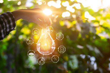 Doğadaki enerji kavramında büyüyen ampuller..