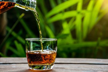 Barmen viski ikram ediyor, ahşap barda.,