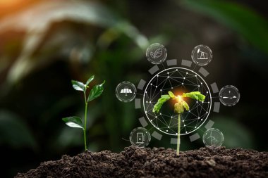 Çiftçinin elleri toprağa fideleri ekiyor.