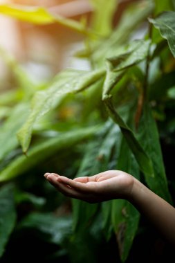 Çevre simgeleriyle el ele tutuşan teknoloji, yeşil arkaplanda Ağ bağlantısı üzerinden. 