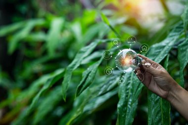 Doğadaki enerji kavramında büyüyen ampuller..