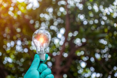 Doğadaki enerji kavramında büyüyen ampuller..