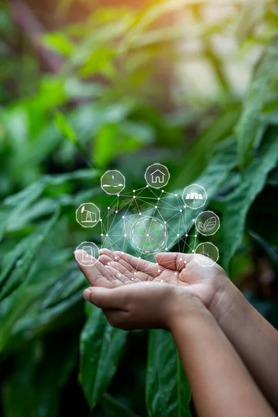 Technologie Hand Holding Met Omgeving Pictogrammen Netwerkverbinding Groene Achtergrond — Stockfoto