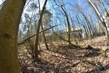 Güneşli bir günde terk edilmiş ve hasar görmüş bir binanın içinde. Enkaz ve harabeler.