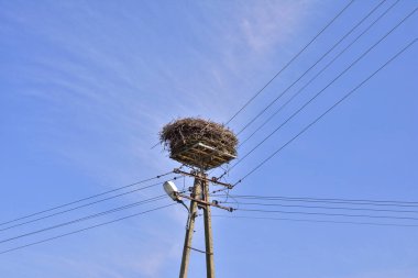 Mavi gökyüzüne karşı elektrik direğinde leylek yuvası.