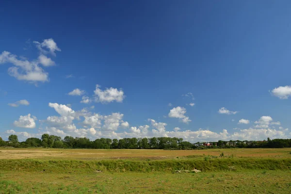 Cielo Azul Nubes Sobre Campo Verde Verano Fondo Bosque — Foto de Stock