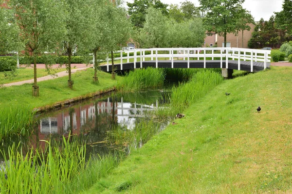 Puente Sobre Canal Los Países Bajos Bancos Cubiertos Juncos Juncos —  Fotos de Stock