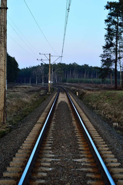 Infraestructura Ferroviaria Día Verano Pistas Rieles Alambres Semáforos —  Fotos de Stock