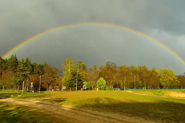 Arco Íris Sobre Floresta Céu Escuro Dramático Depois Que Tempestade — Fotografia de Stock