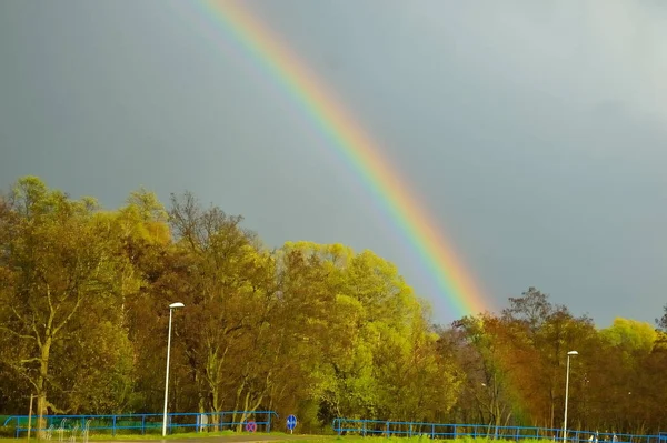 Duha Nad Lesem Dramatické Tmavé Obloze Bouřce — Stock fotografie