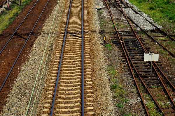 Bir Yaz Gününde Demiryolu Altyapısı Zler Raylar Kablolar Semaforlar — Stok fotoğraf