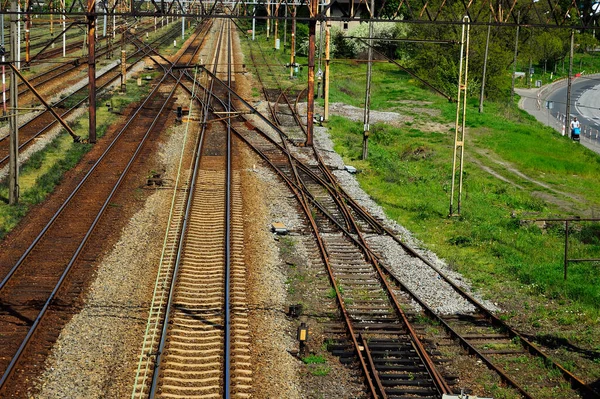 Bir yaz gününde demiryolu altyapısı. İzler, raylar, kablolar ve semaforlar.