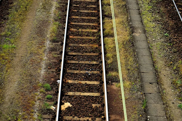 Vasúti Infrastruktúra Egy Nyári Napon Nyomtáv Sín Huzal Szemafora — Stock Fotó