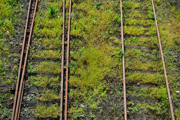 Vasúti Infrastruktúra Egy Nyári Napon Nyomtáv Sín Huzal Szemafora — Stock Fotó